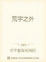 荒宇之外