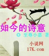 如今的诗意