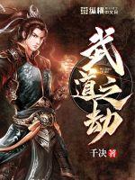 武道之劫