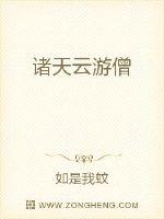 诸天云游僧