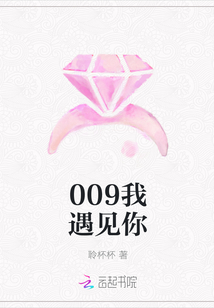 009我遇见你