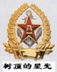 星光伴我行