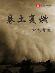 小说秦舒傅廷煜