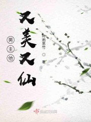 男主他又美又仙