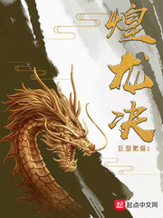 重生之妖孽盗贼