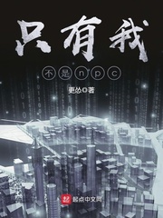 沈琉璃顾墨枫