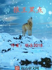 沈璃月傅司绝