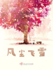 凡尘飞雪