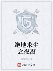 绝地求生之夜离