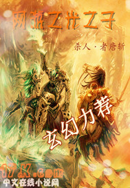 网游之光之子