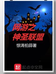 网游之神圣联盟