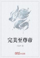 似锦季崇易