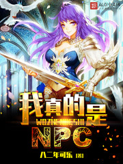 主人公白小升的小说