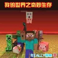 我的世界之奇妙生存
