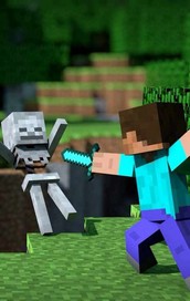 Minecraft大冒险