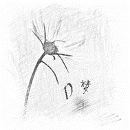 D梦
