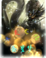 冰炎龙传