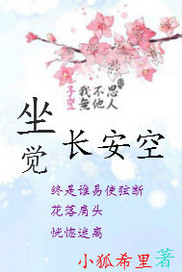 坐觉长安空