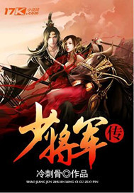 少将军传