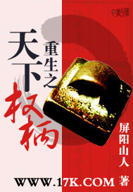 天下权柄小说