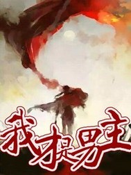 我才是男主