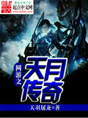 网游之天月传奇