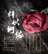 群以何依